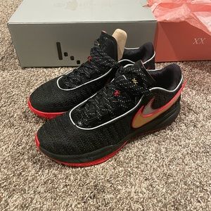 LeBron James Shoes 10.